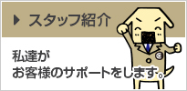 スタッフ紹介 私達がお客様のサポートをします。